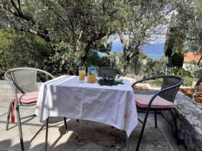 Holiday home Olive- 150m from sea